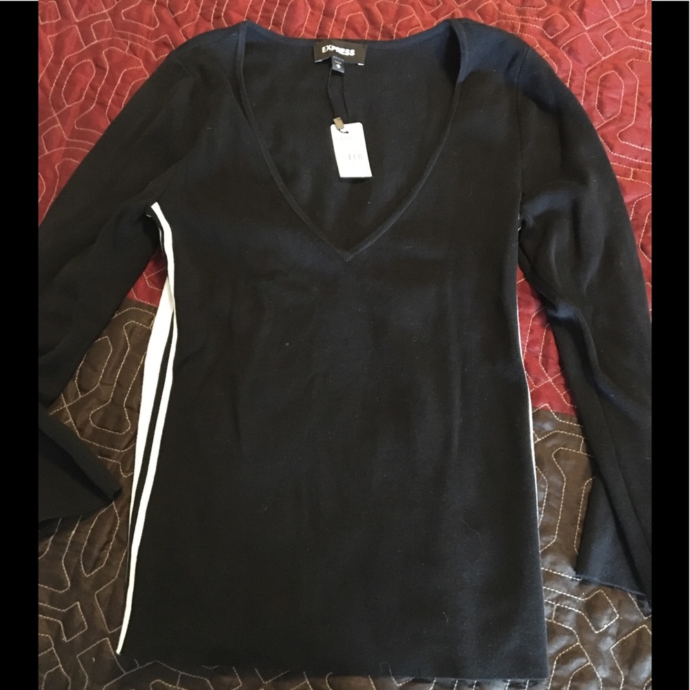 Express V-Neck Sweater